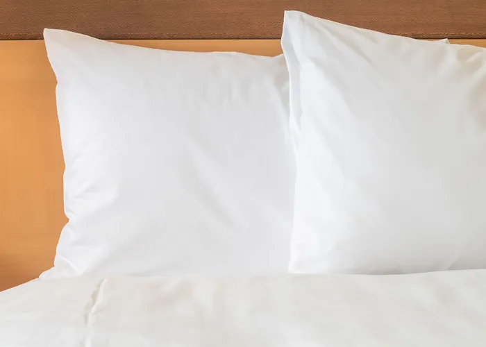 Express Centre By Ihg 3*